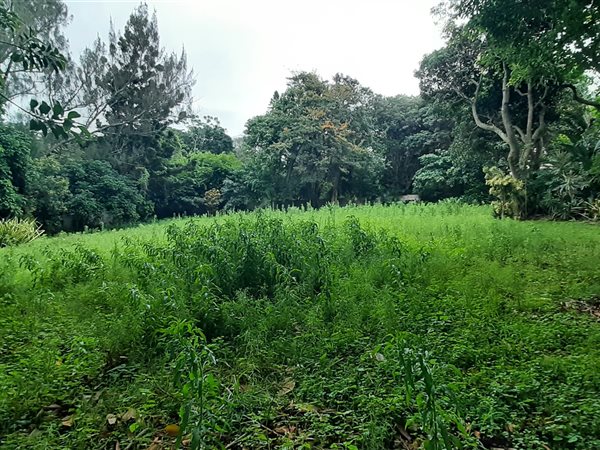 4047 m² Land available in Pennington