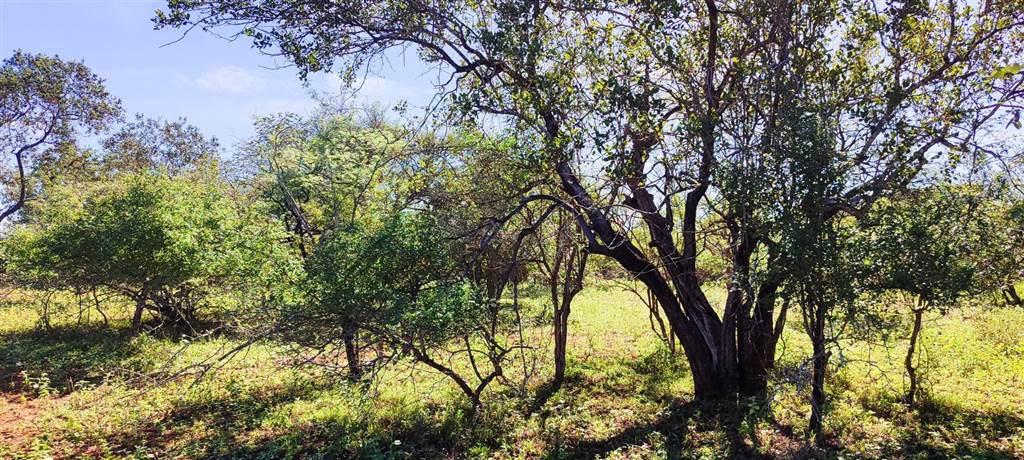 2560 m² Land available in Marloth Park photo number 1