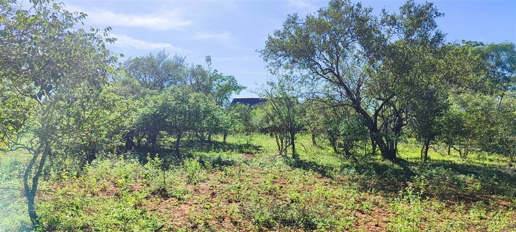 2560 m² Land available in Marloth Park photo number 3