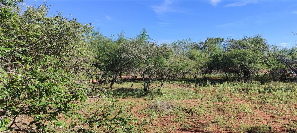 2560 m² Land available in Marloth Park photo number 2