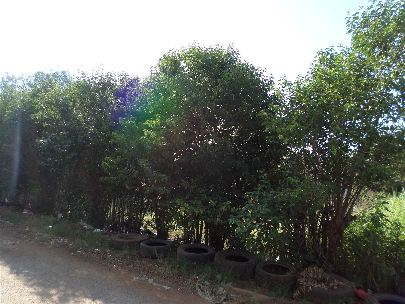 643 m² Land available in Ventersdorp photo number 8