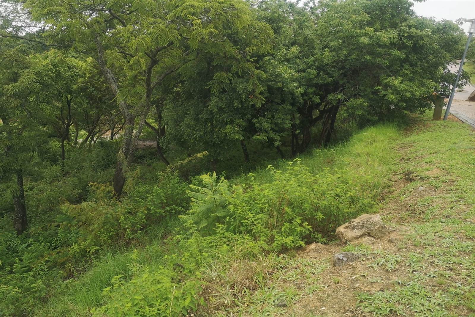 1186 m² Land available in Drum Rock photo number 2