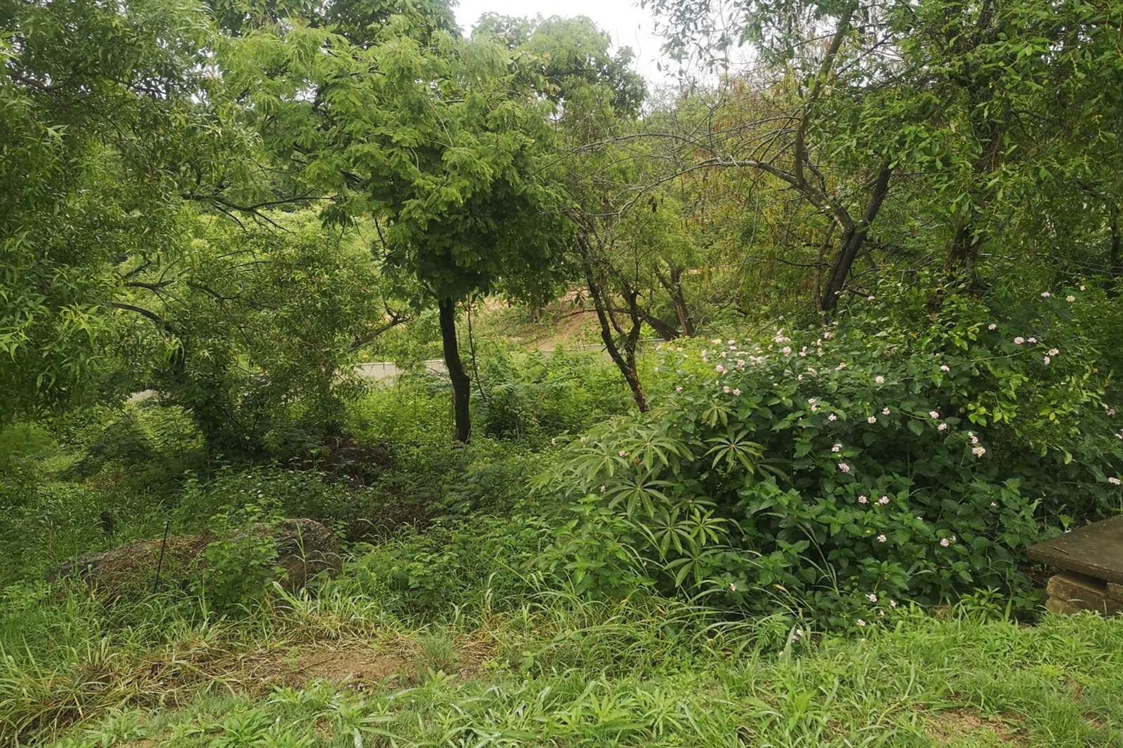 1186 m² Land available in Drum Rock photo number 1