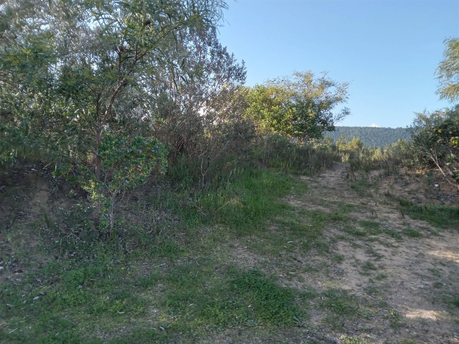 1908 m² Land available in Sedgefield photo number 7