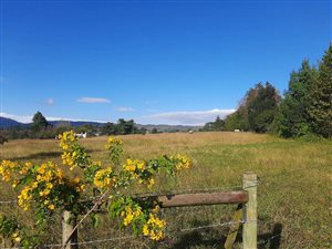 14 ha Farm in Birnamwood