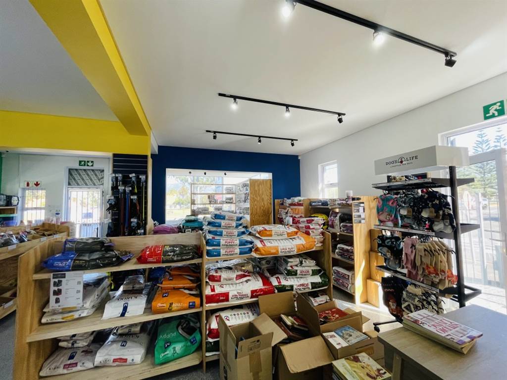 344  m² Retail Space in Plumstead photo number 4