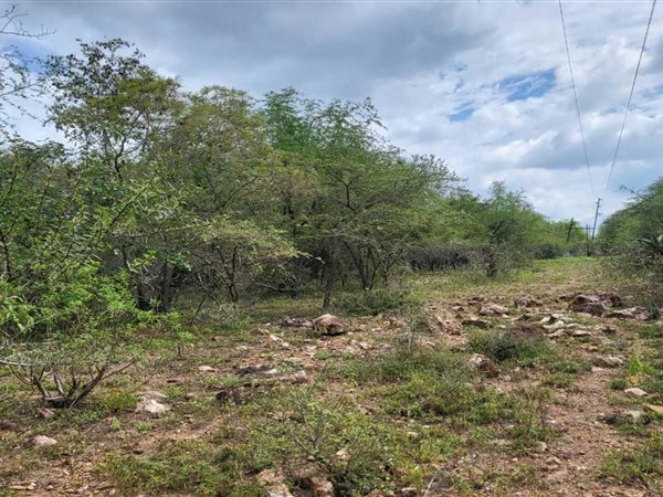 1500 m² Land available in Marloth Park