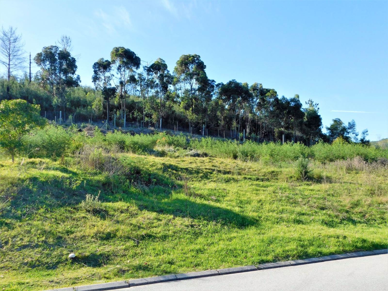 872 m² Land available in Green Pastures photo number 6