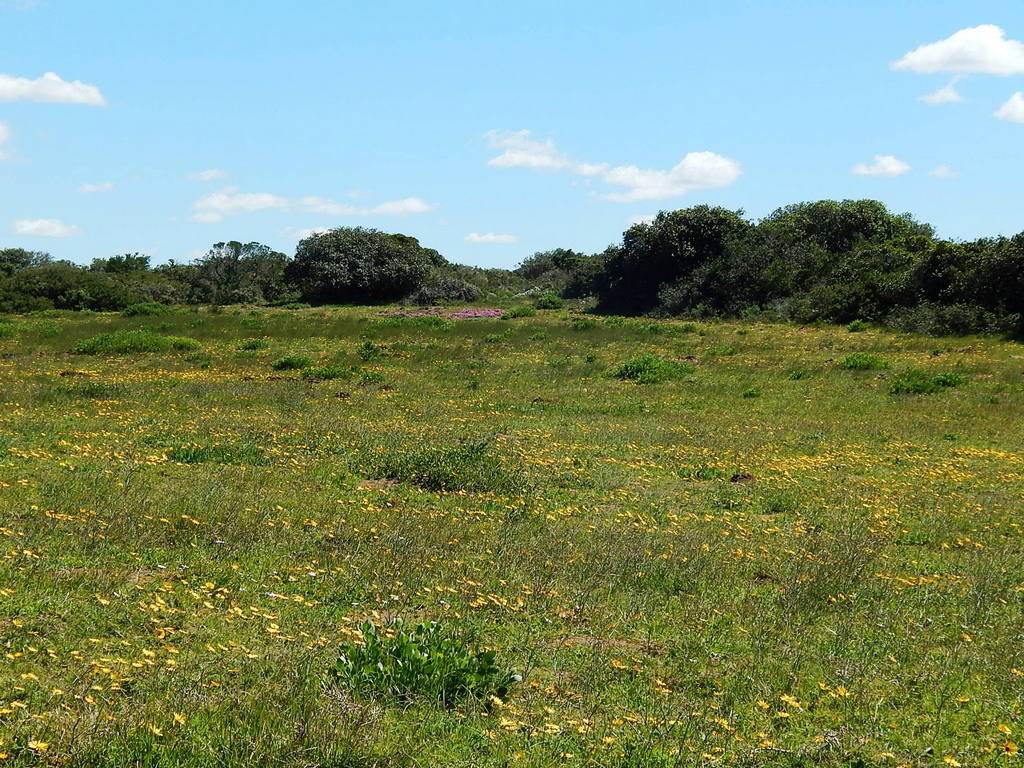 7.6 ha Land available in Stilbaai photo number 12