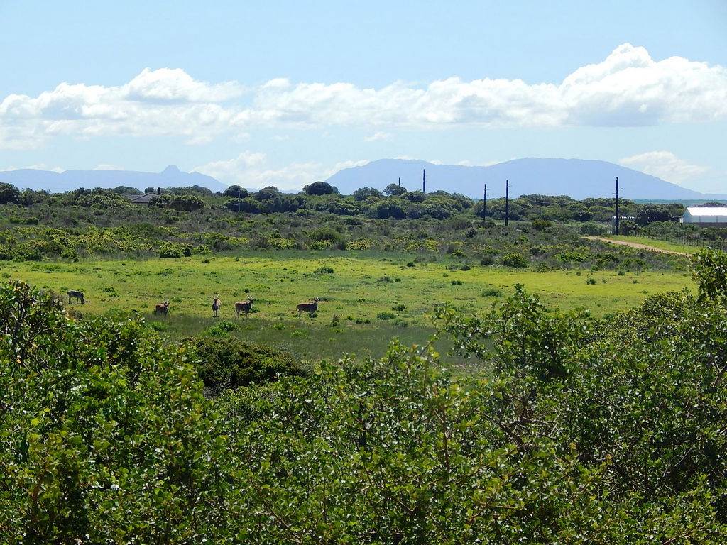 7.6 ha Land available in Stilbaai photo number 13