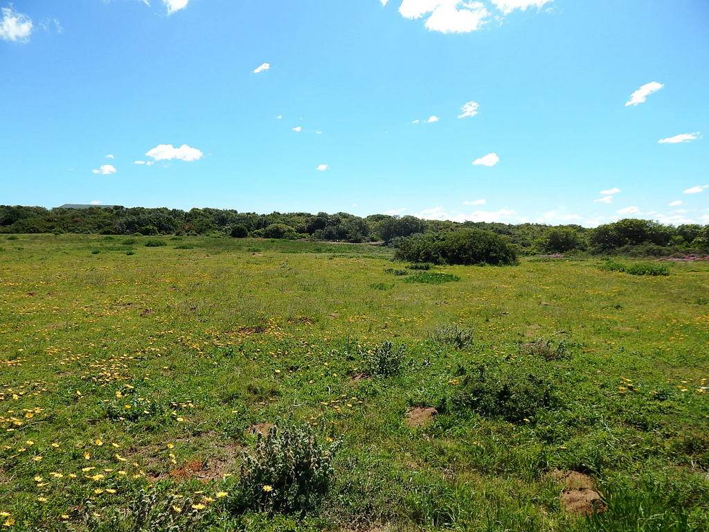 7.6 ha Land available in Stilbaai photo number 3