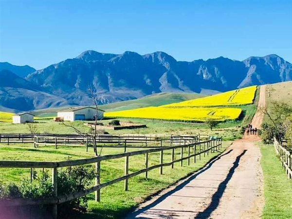 145 ha Farm 145 ha Farm