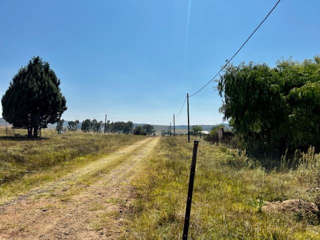 3000 m² Land available in Paul Roux photo number 8