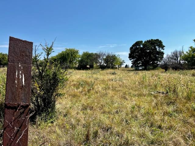 3000 m² Land available in Paul Roux photo number 3