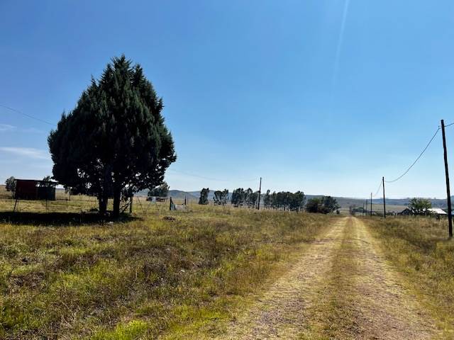 3000 m² Land available in Paul Roux photo number 2