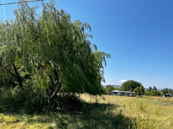 3000 m² Land available in Paul Roux