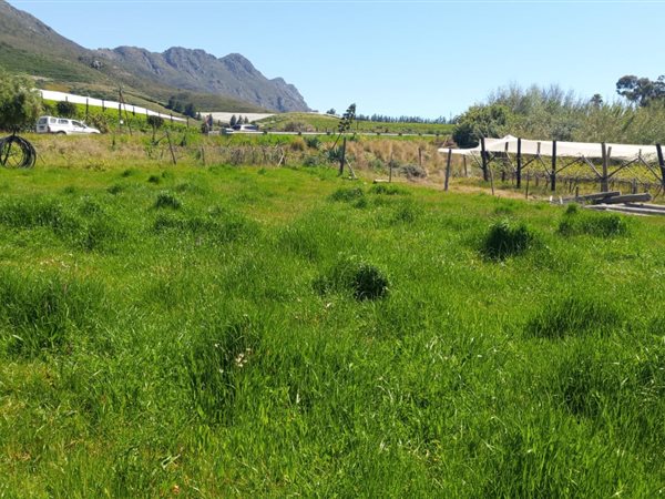 525 m² Land