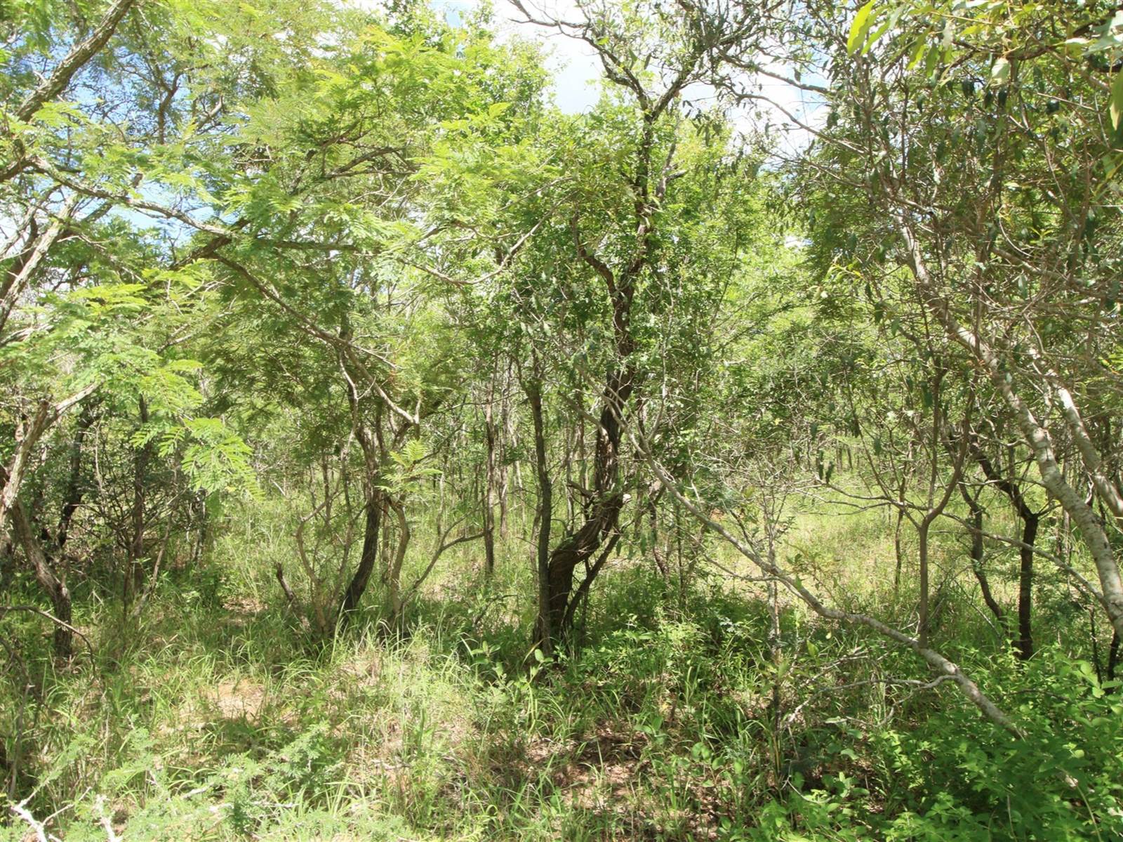 1 ha Land available in Moditlo Nature Reserve photo number 4