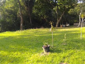 3320 m² Land available in Ndwedwe