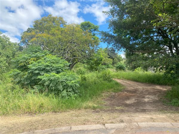 1165 m² Land available in Drum Rock