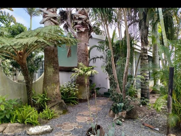 3 Bedroom House 3 Bedroom House