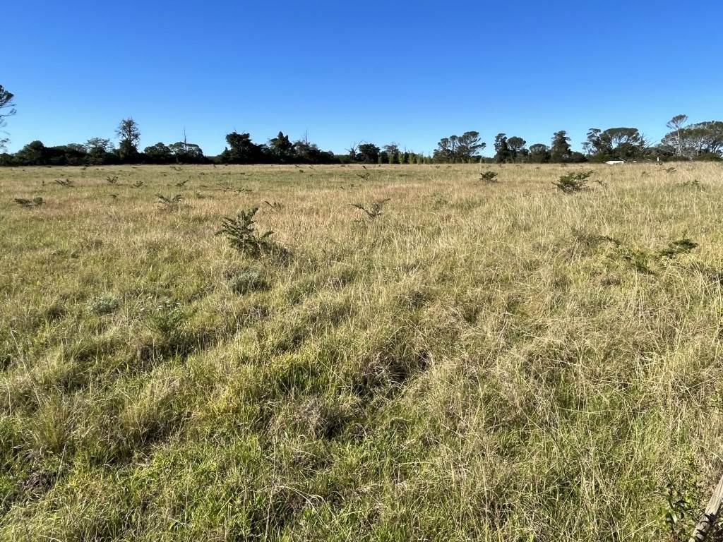 129 ha Farm in Bathurst and Surrounds photo number 16