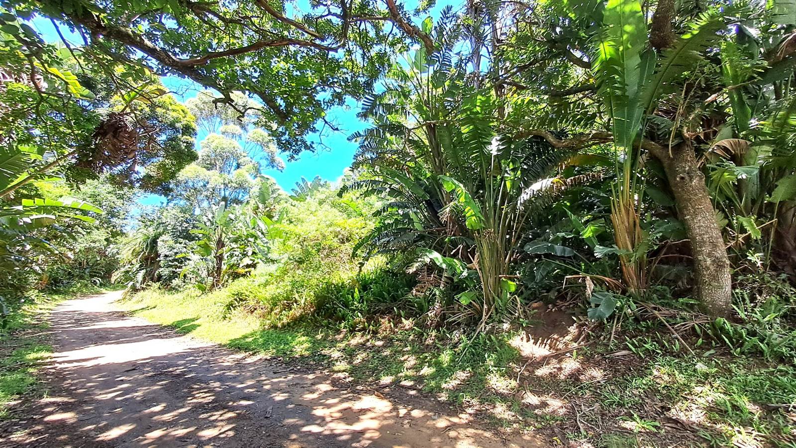 1085 m² Land available in Leisure Bay photo number 3