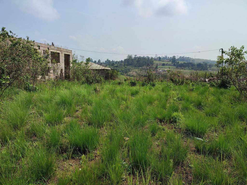 1000 m² Land available in Umbumbulu photo number 2