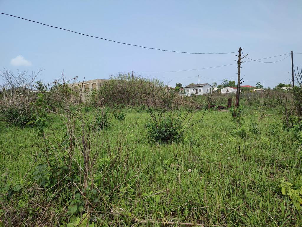 1000 m² Land available in Umbumbulu photo number 1