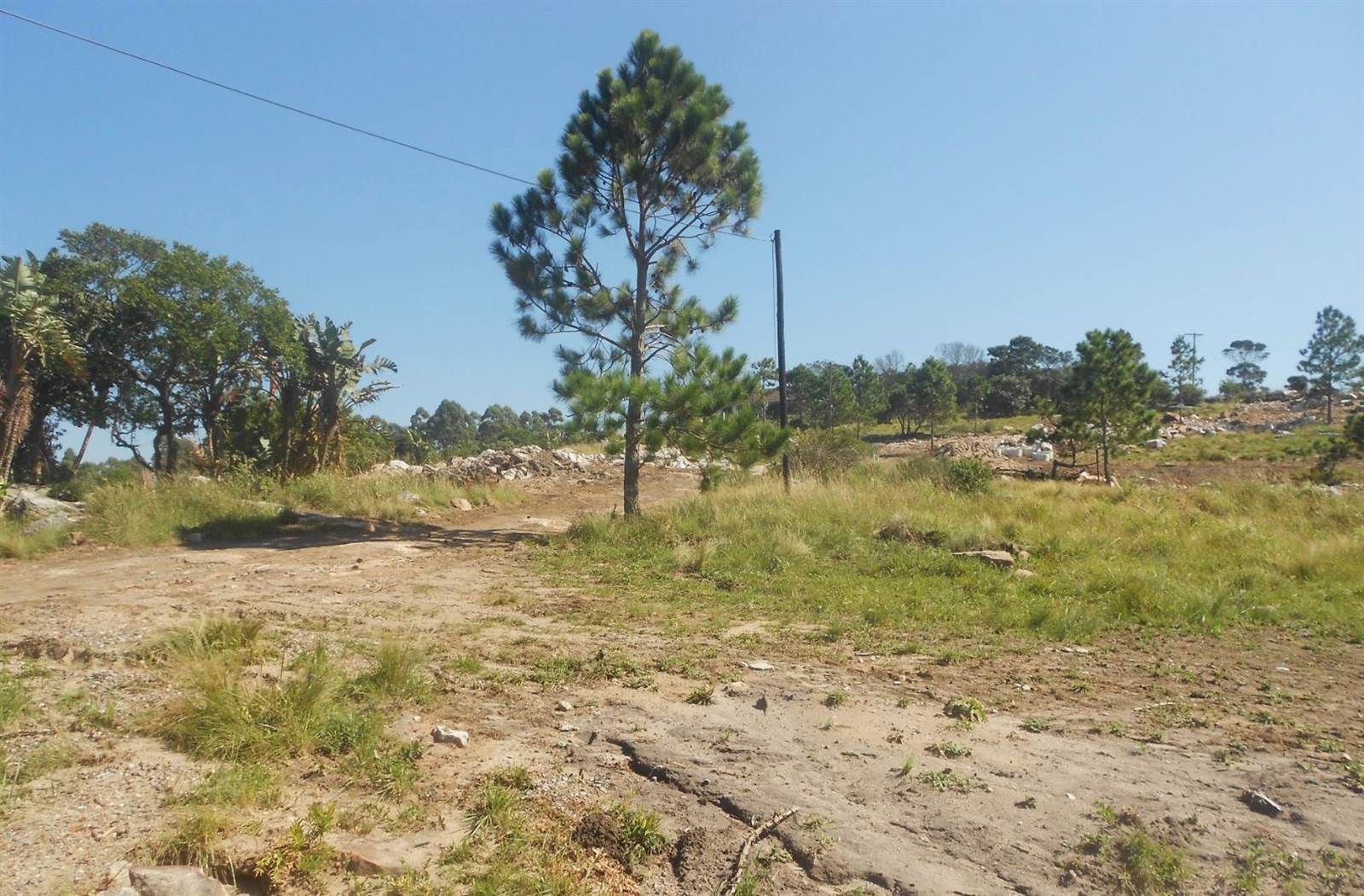 1017 m² Land available in Margate photo number 6