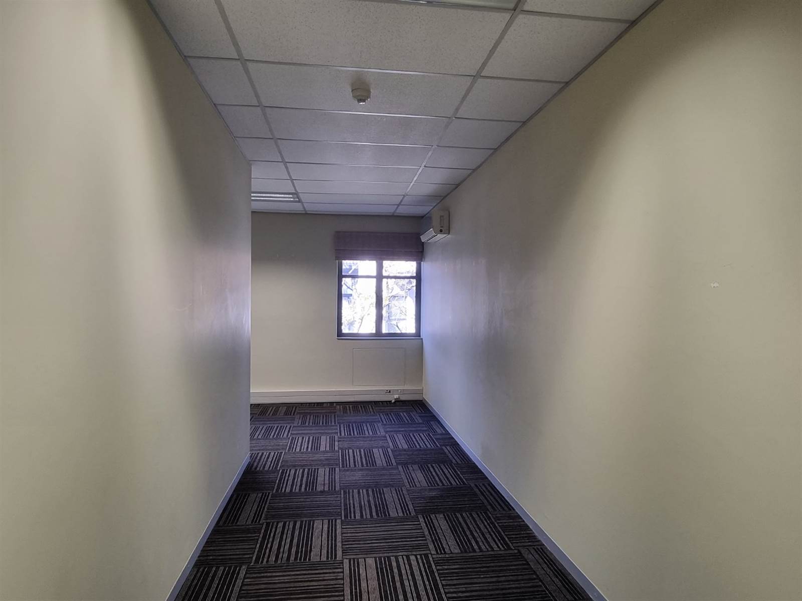 356  m² Commercial space in Bryanston photo number 16