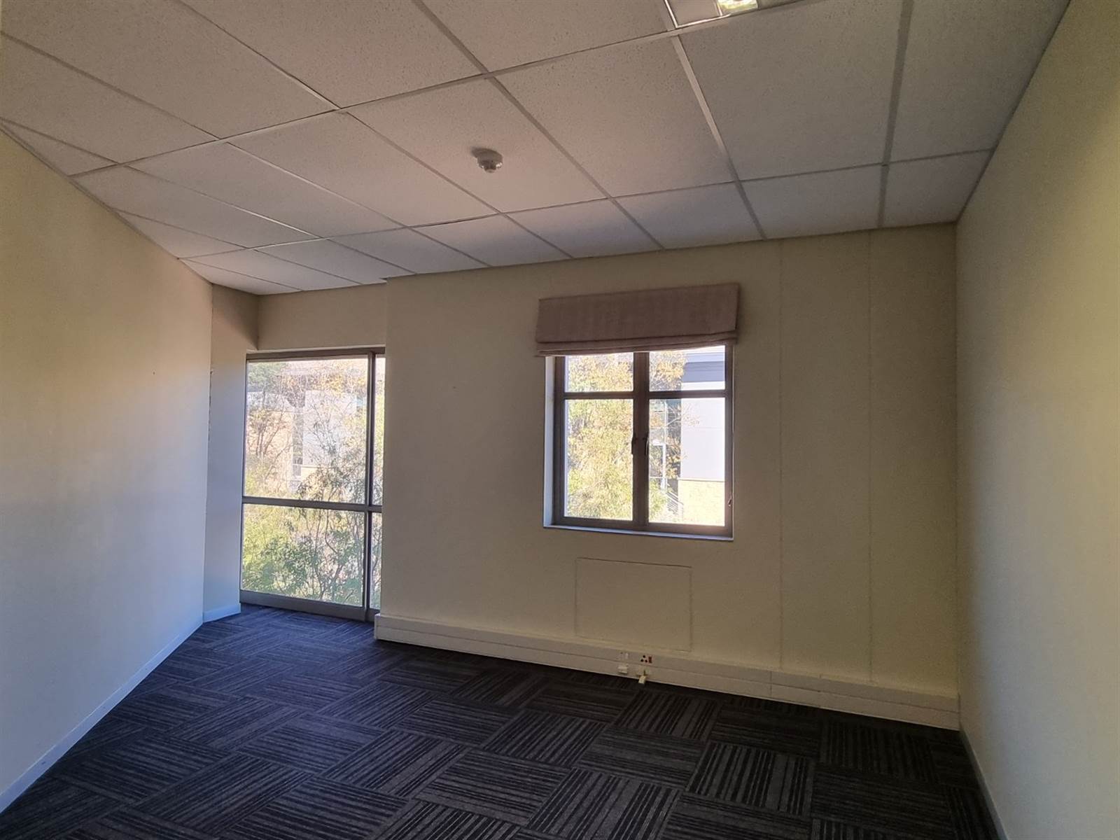 356  m² Commercial space in Bryanston photo number 21