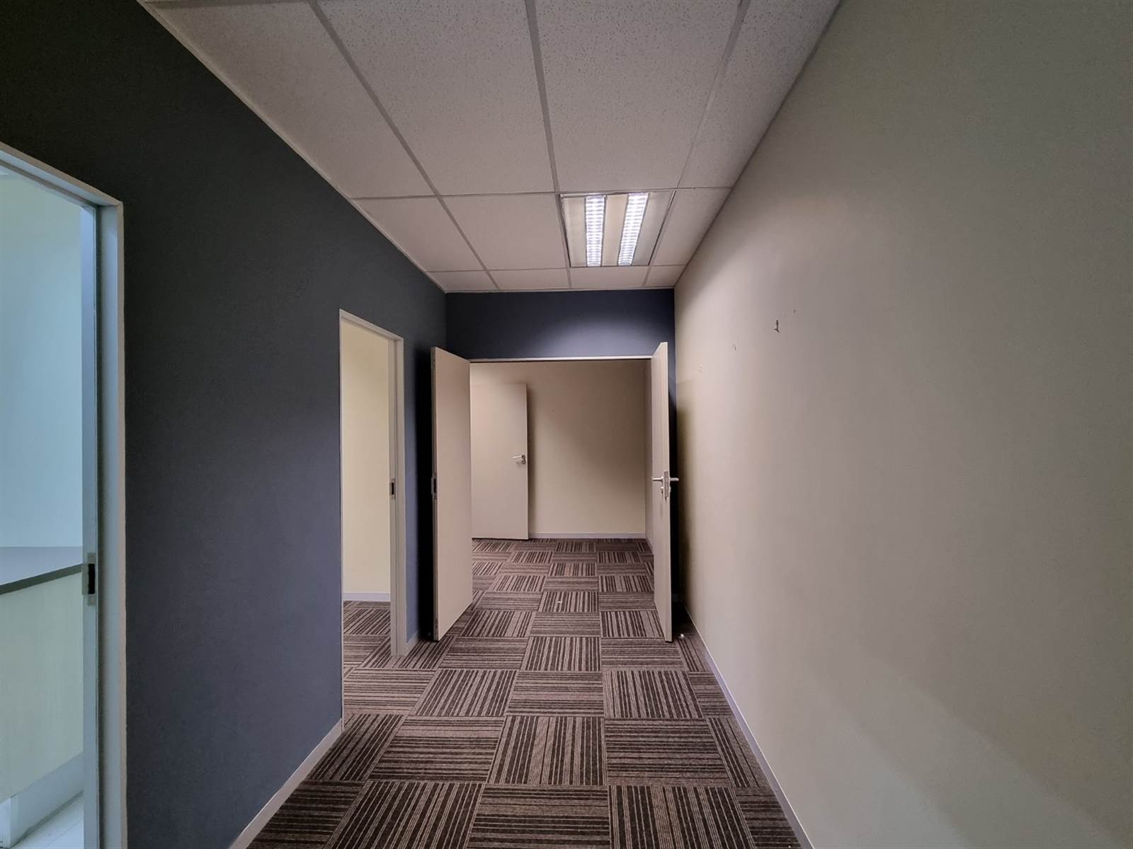356  m² Commercial space in Bryanston photo number 14