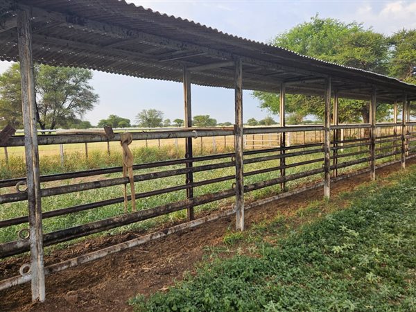 570.2 ha Farm in Mookgophong (Naboomspruit)