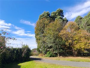 680 m² Land available in Kamberg