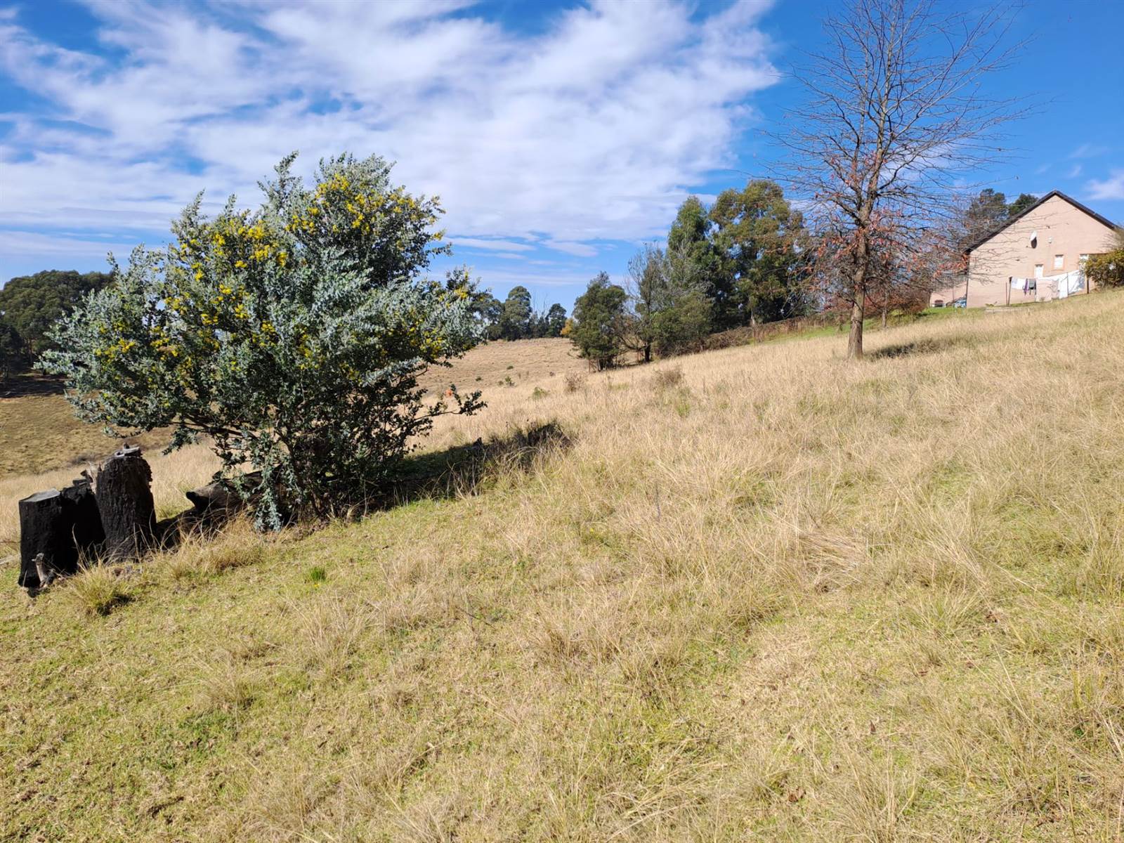 680 m² Land available in Kamberg photo number 5