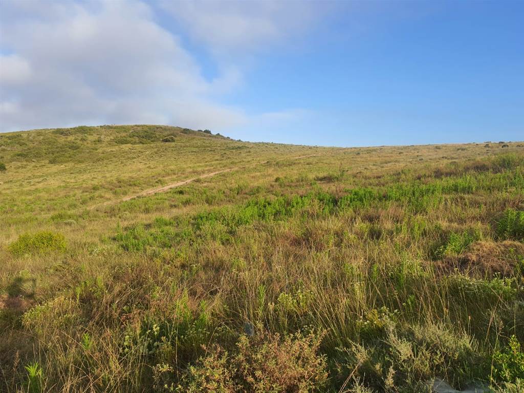 1748 m² Land available in Hartenbos photo number 2