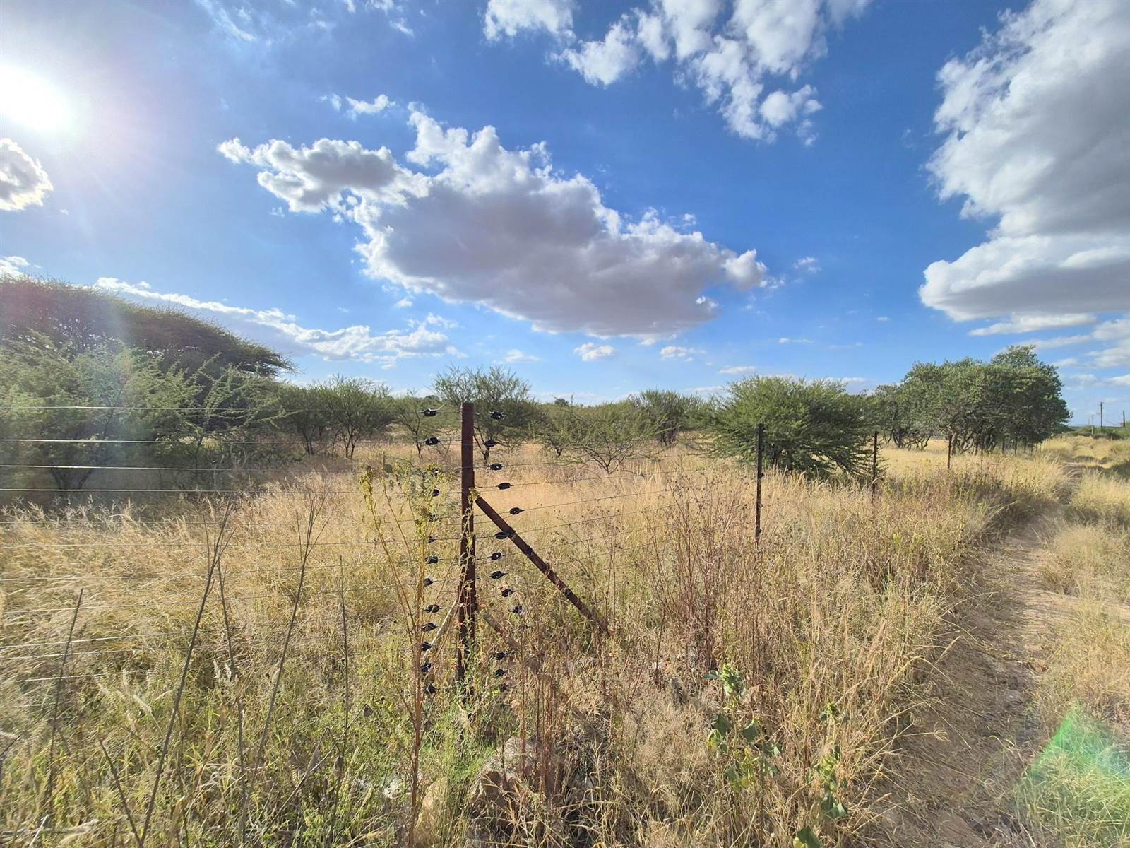 8.6 ha Smallholding in Polokwane Central photo number 24