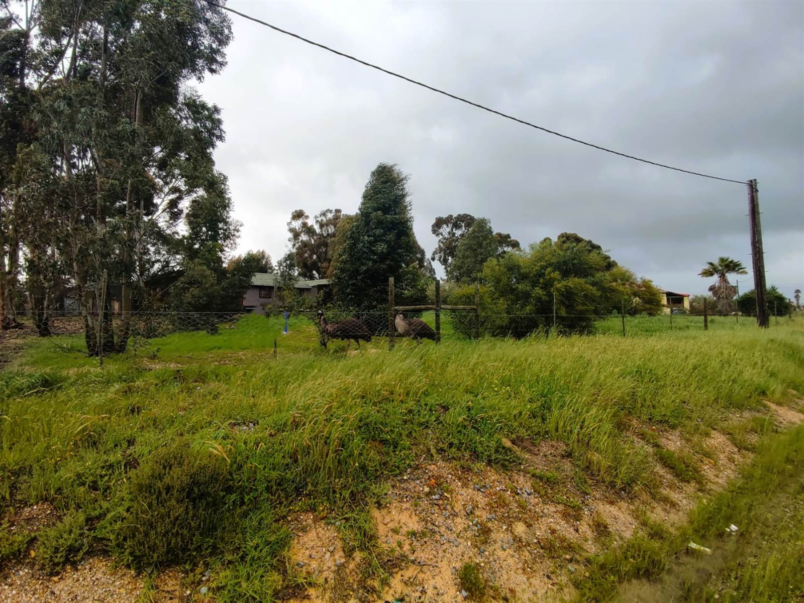 1000 m² Land available in Malmesbury photo number 2