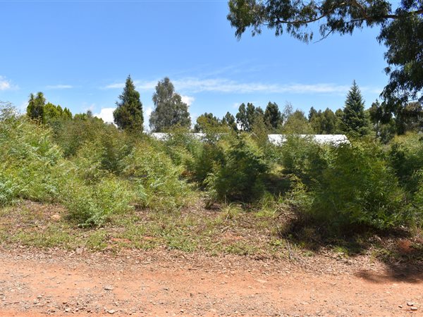 1388 m² Land available in Dullstroom
