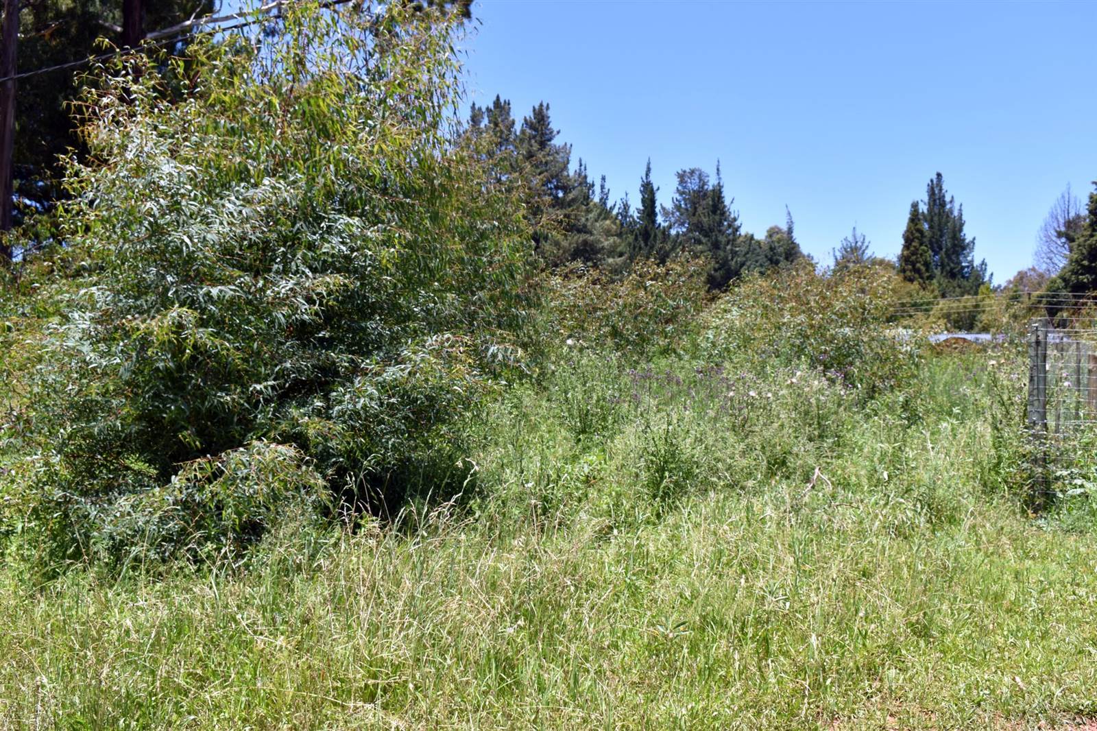 1388 m² Land available in Dullstroom photo number 6