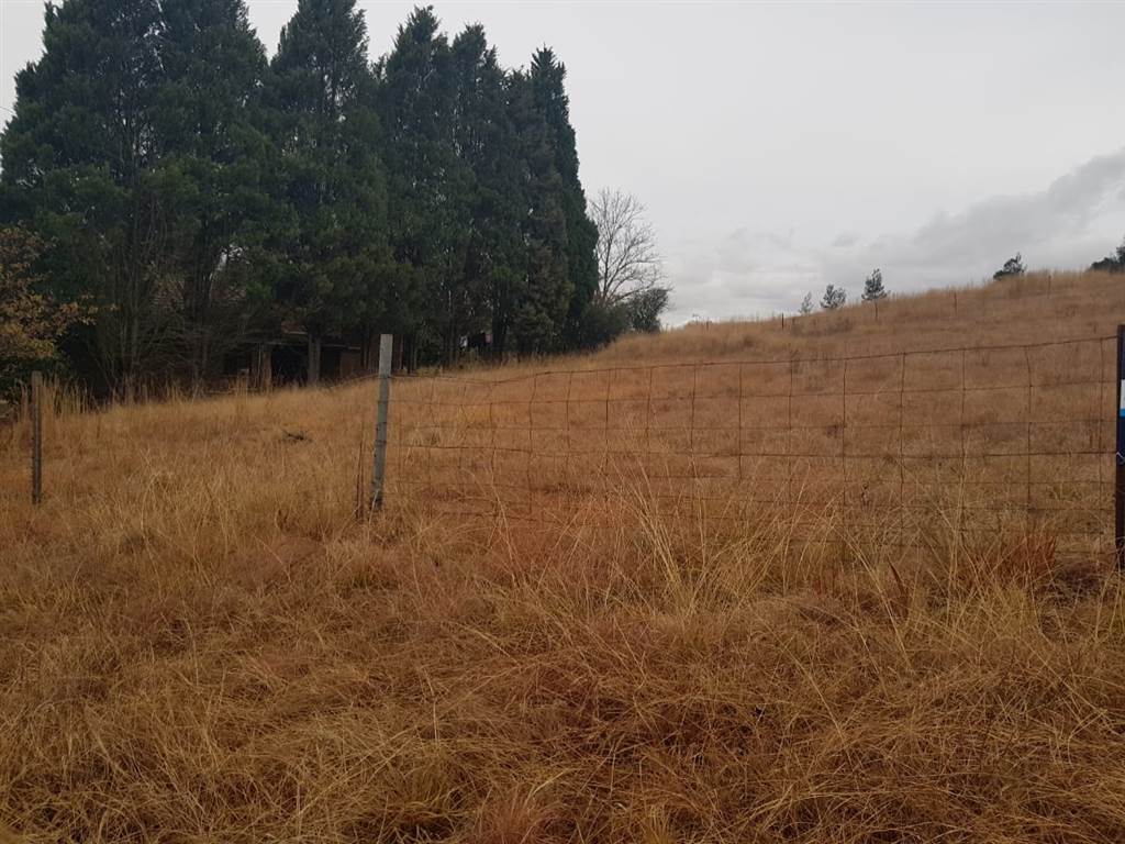 2698 m² Land available in Mooi River photo number 8