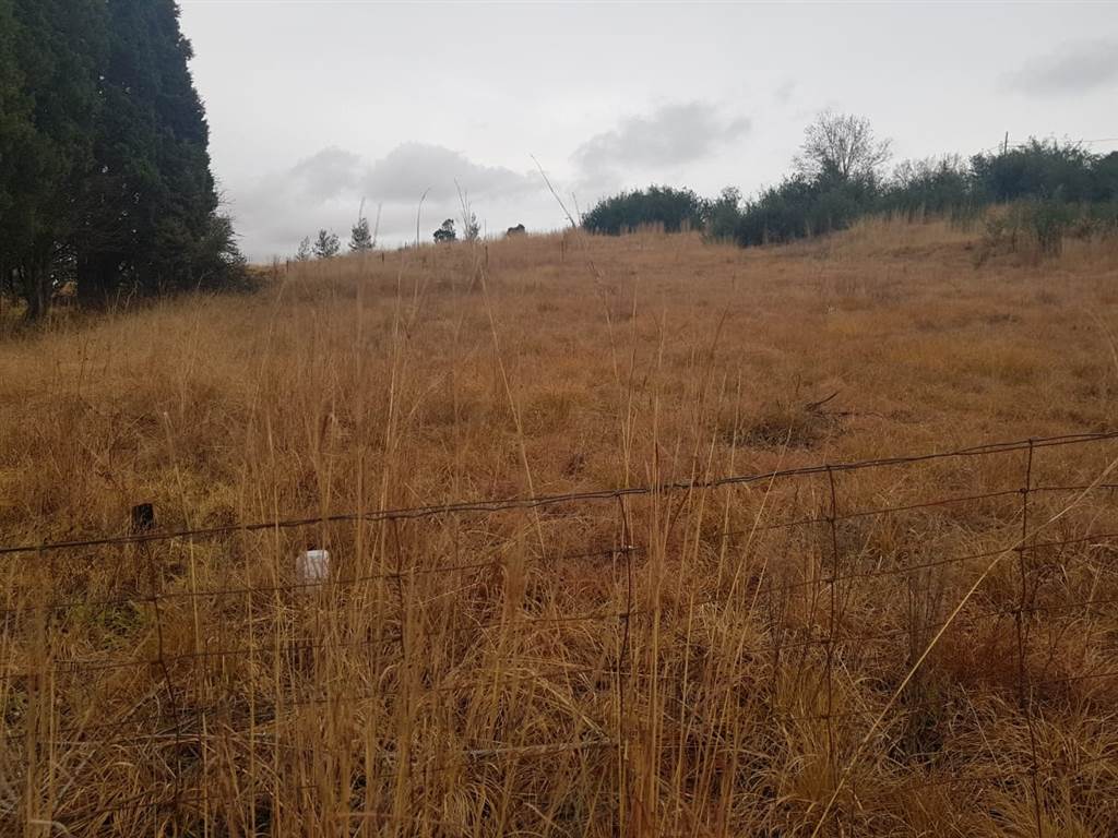 2698 m² Land available in Mooi River photo number 10