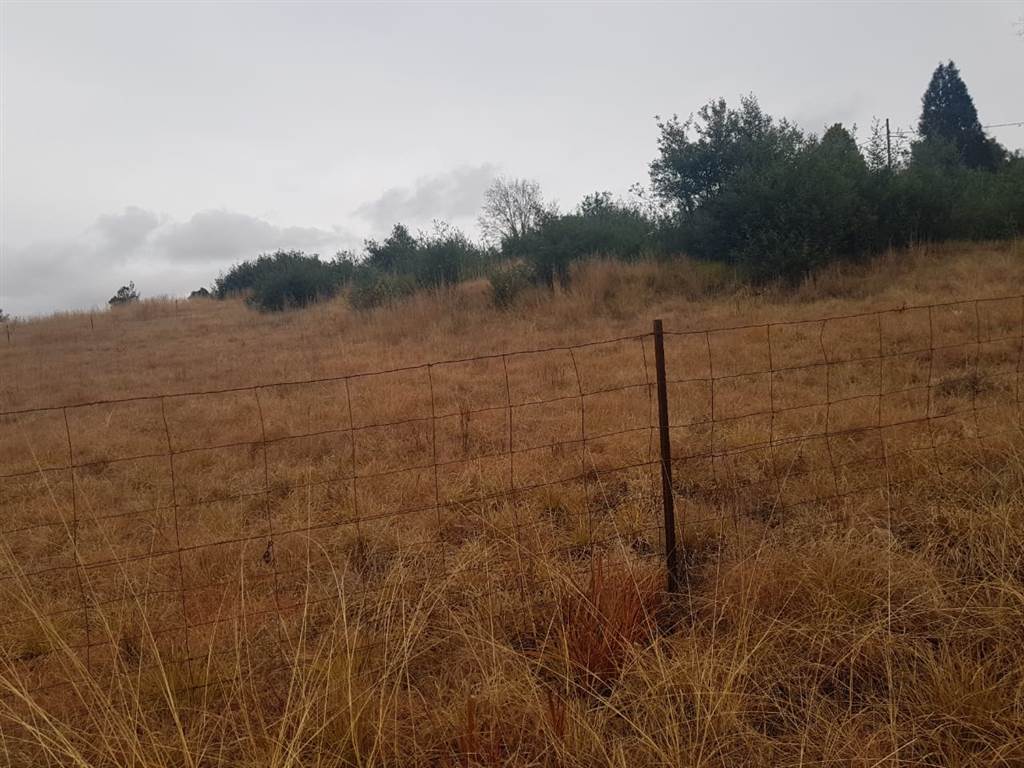 2698 m² Land available in Mooi River photo number 5