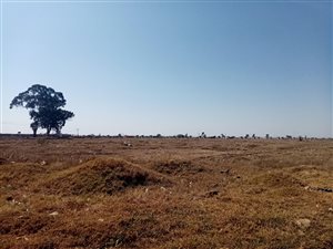 5.7 ha Land available in Putfontein