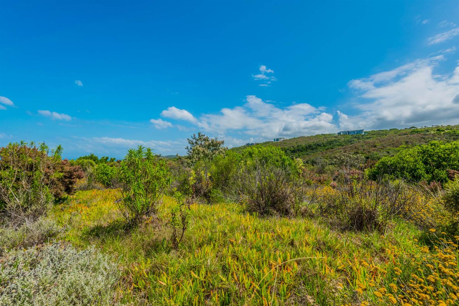 2640 m² Land available in Herolds Bay photo number 14