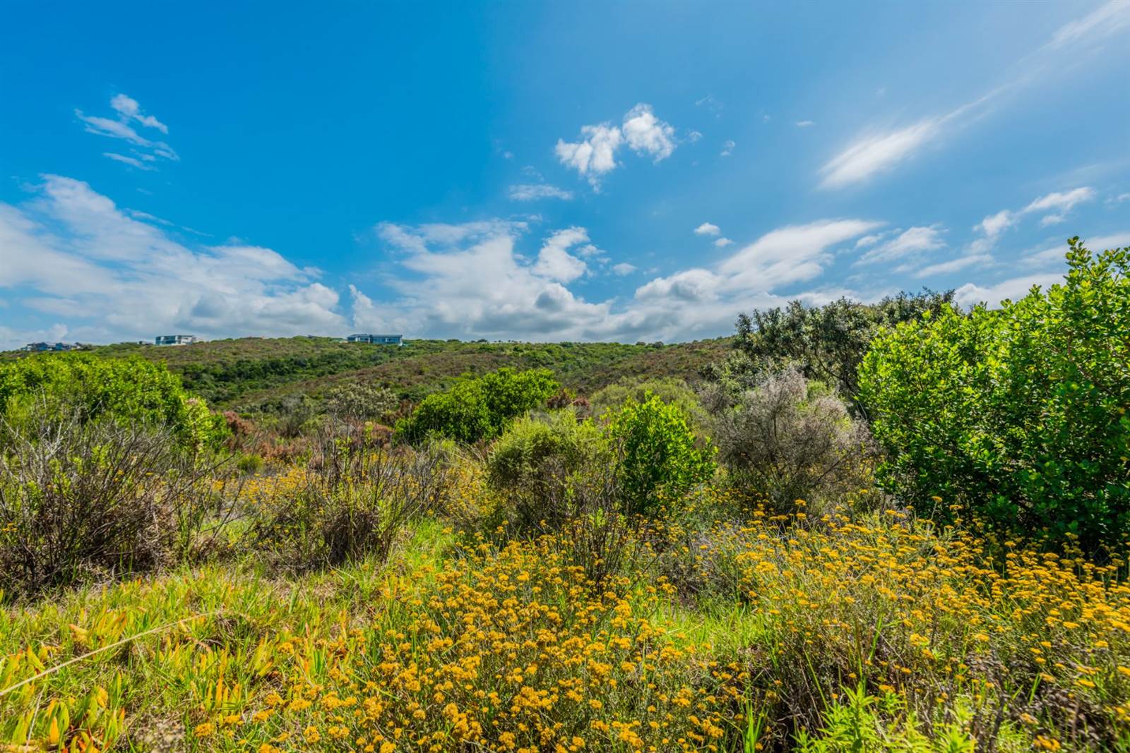 2640 m² Land available in Herolds Bay photo number 16