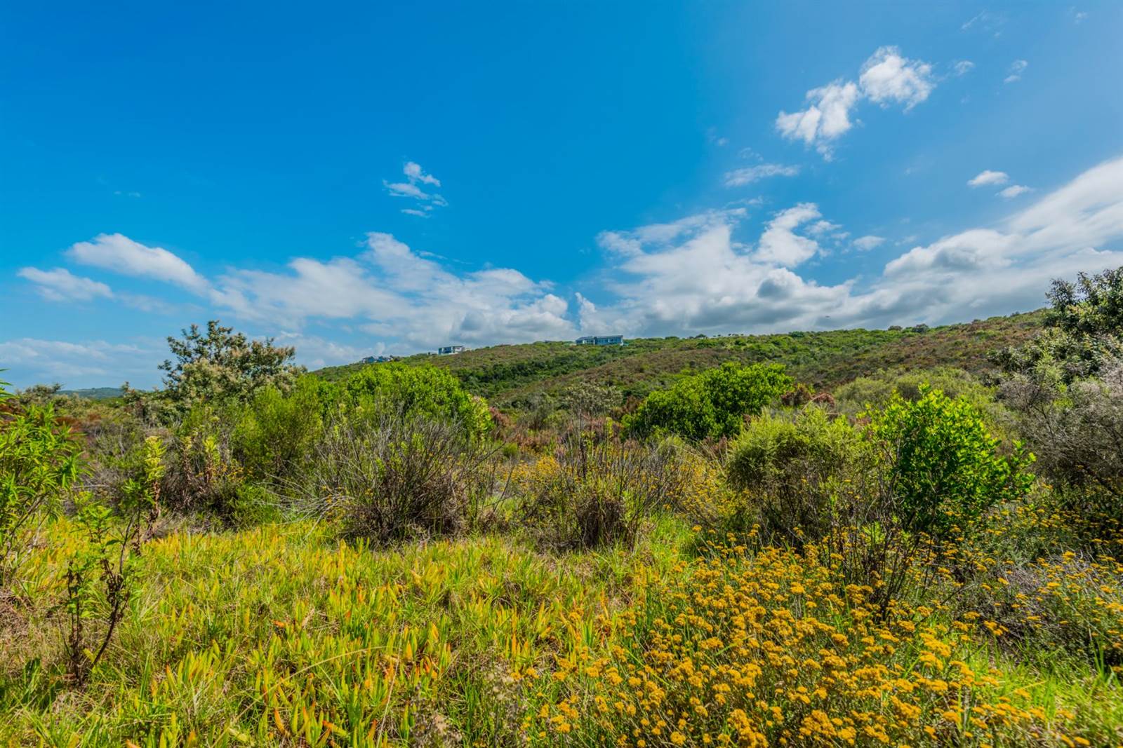 2640 m² Land available in Herolds Bay photo number 15