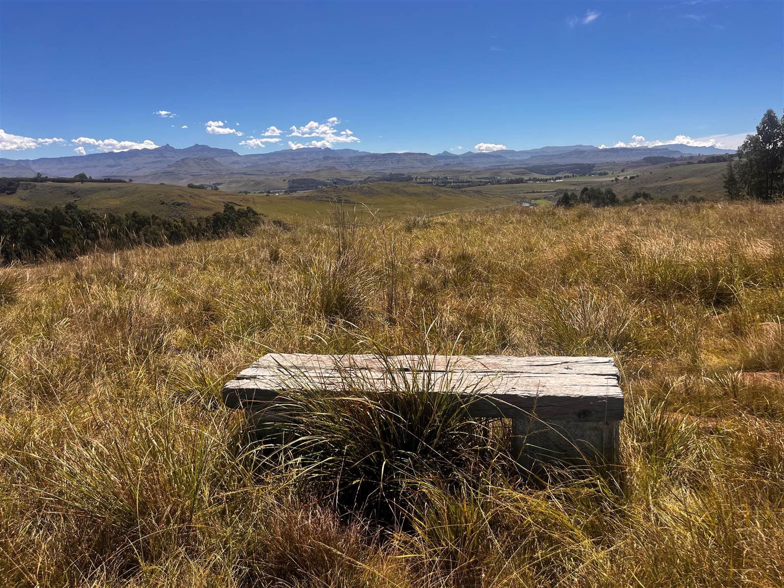 4 ha Land available in Underberg photo number 20