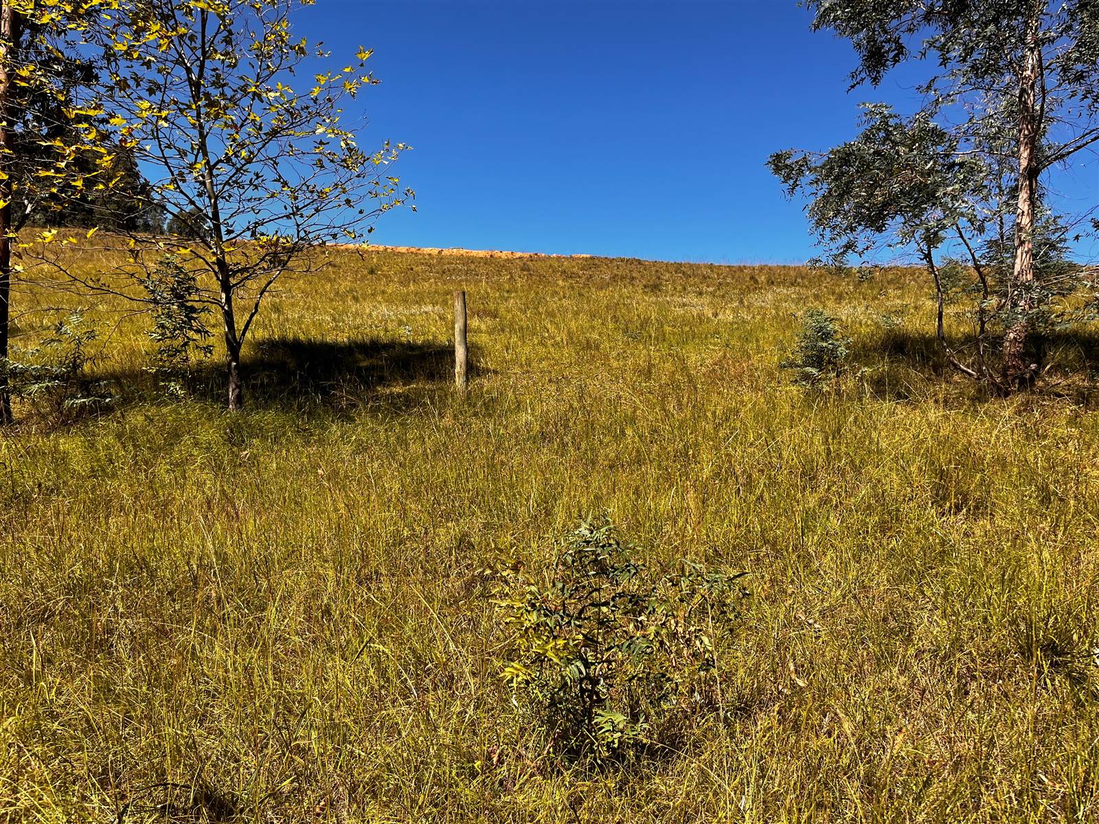 4 ha Land available in Underberg photo number 27